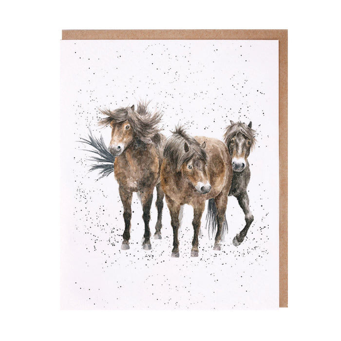 Greeting Cards