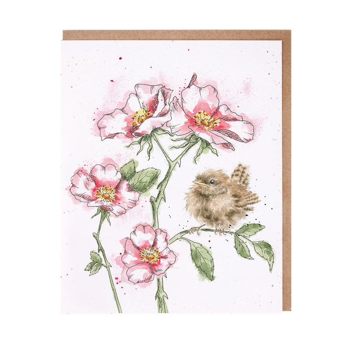 Greeting Cards