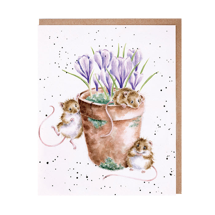 Greeting Cards