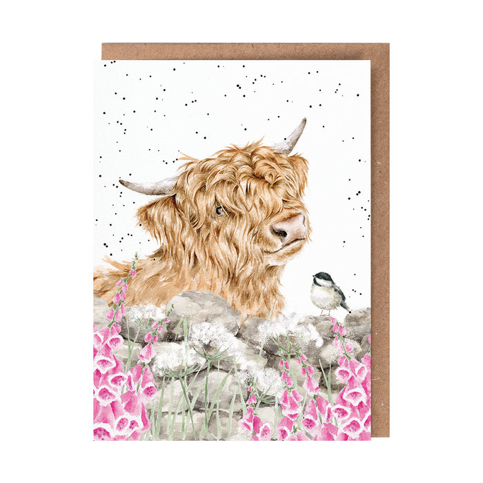 Greeting Cards