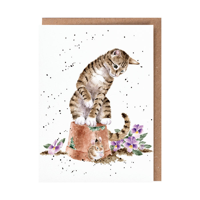 Greeting Cards