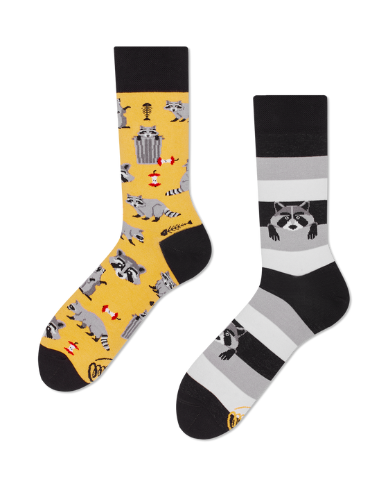 Many Mornings Socks