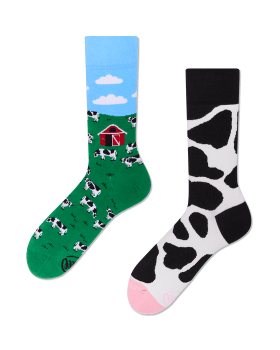 Many Mornings Socks