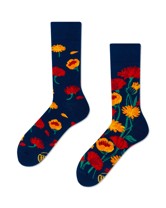 Many Mornings Socks