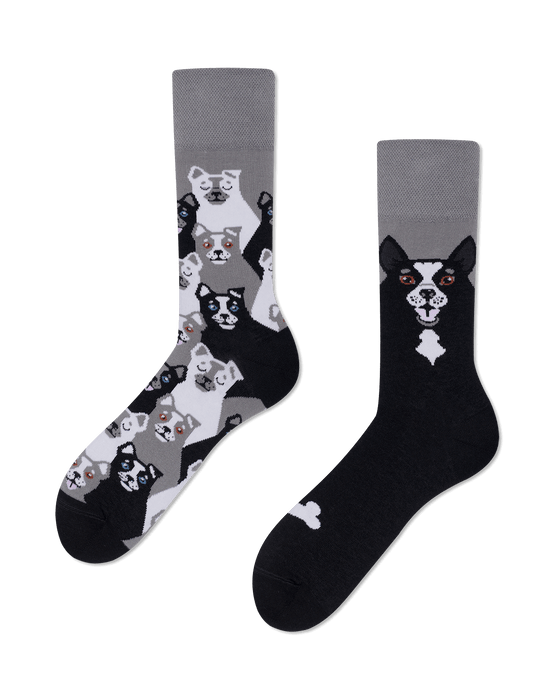 Many Mornings Socks