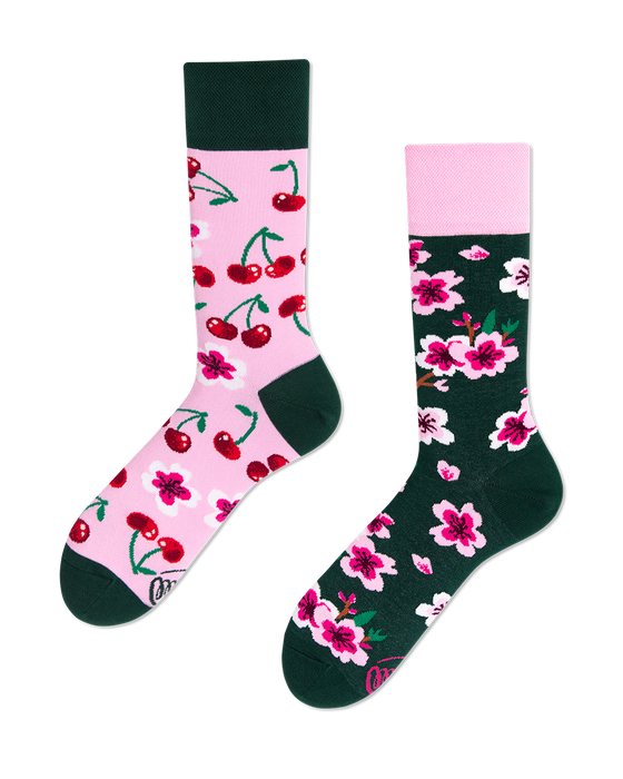 Many Mornings Socks