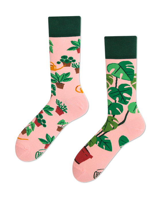 Many Mornings Socks