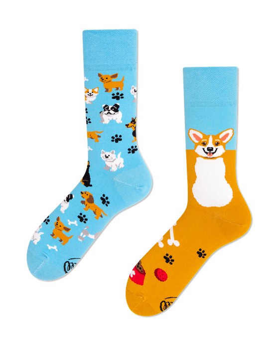 Many Mornings Socks