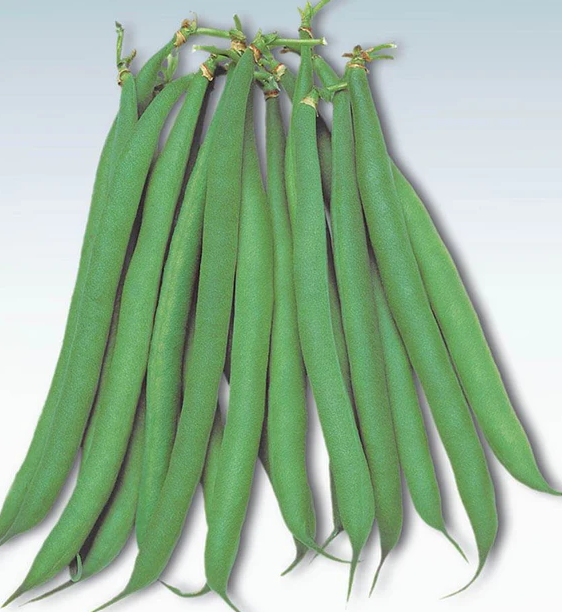 West Coast Seeds Beans
