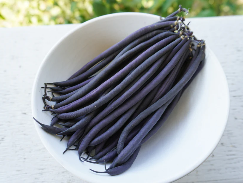 West Coast Seeds Beans