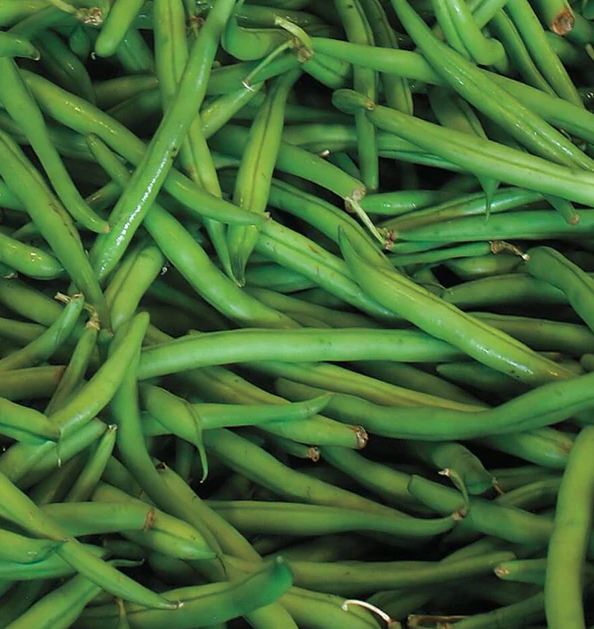 West Coast Seeds Beans