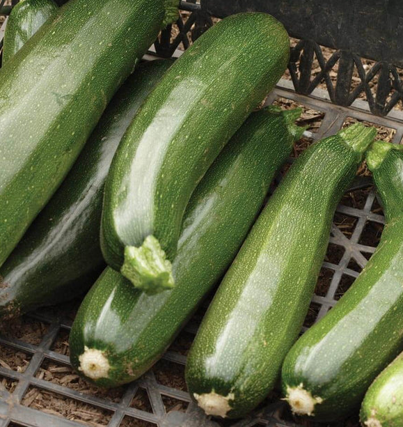 West Coast Vegetable Seeds