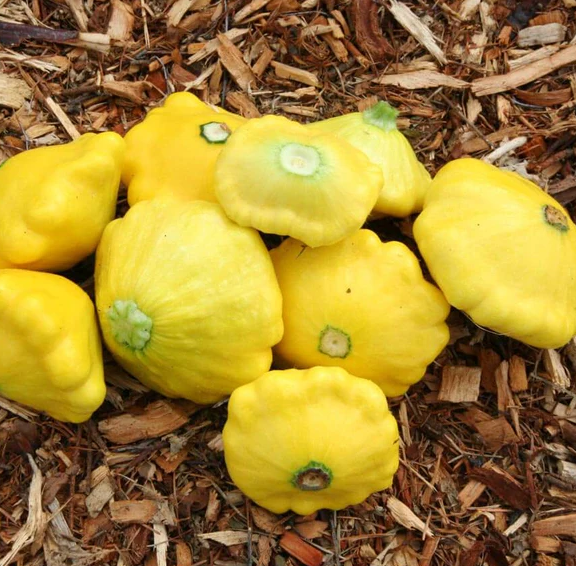 West Coast Vegetable Seeds