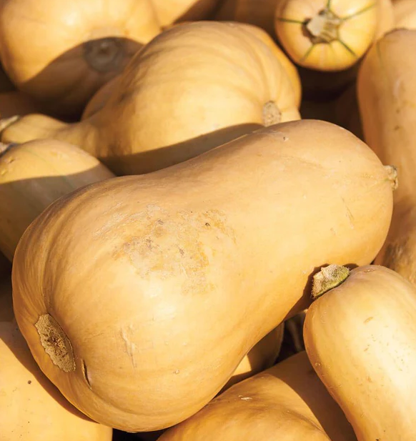West Coast Vegetable Seeds