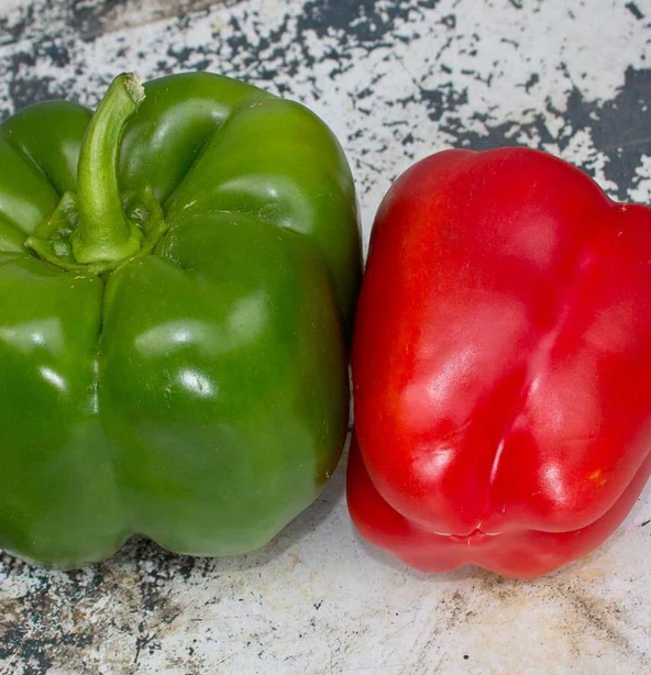 West Coast Vegetable Seeds