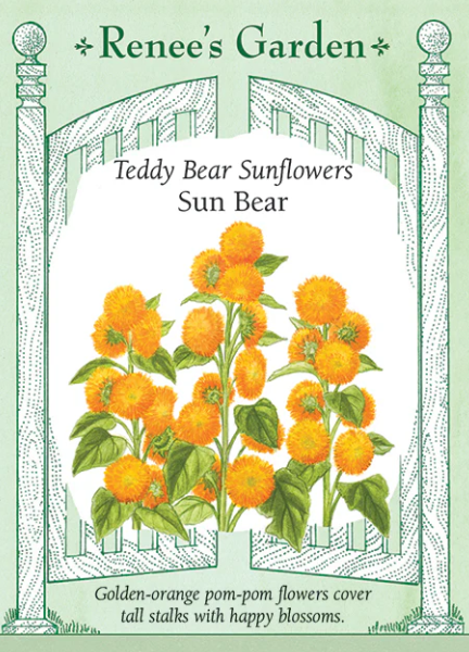 Renee's Garden Seed Flowers