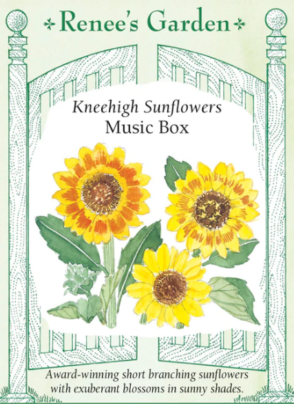 Renee's Garden Seed Flowers