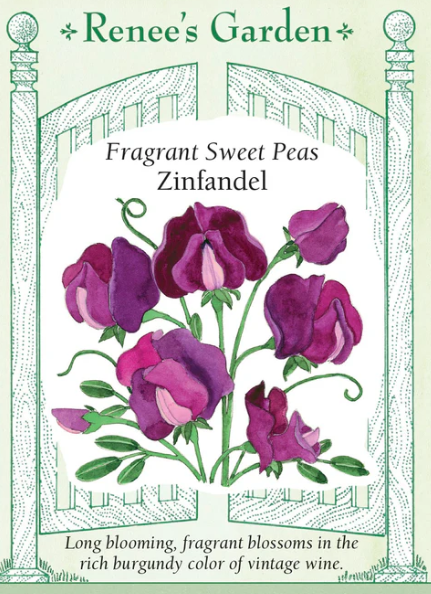 Renee's Garden Seed Flowers