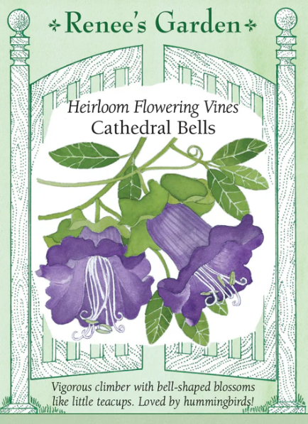 Renee's Garden Seed Flowers