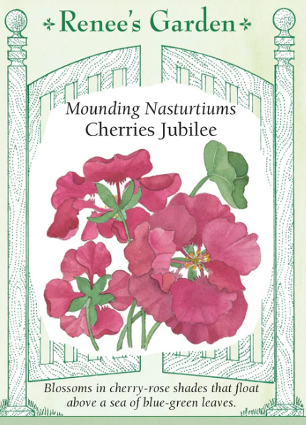 Renee's Garden Seed Flowers
