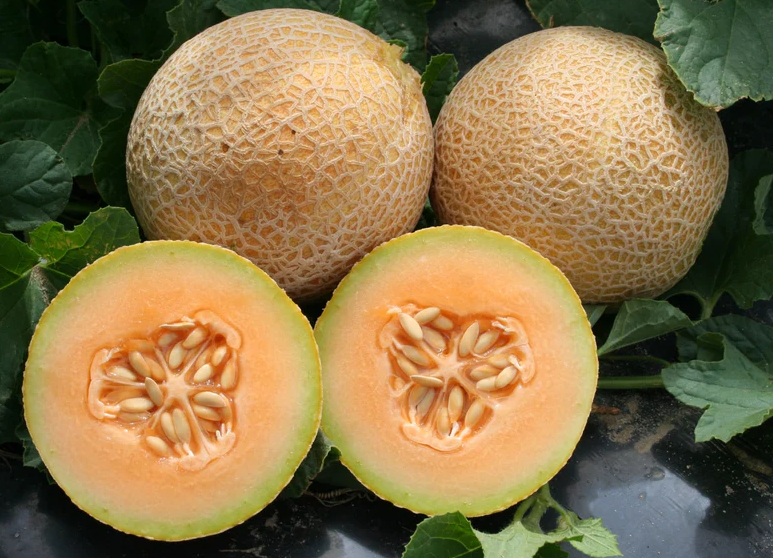 West Coast Vegetable Seeds