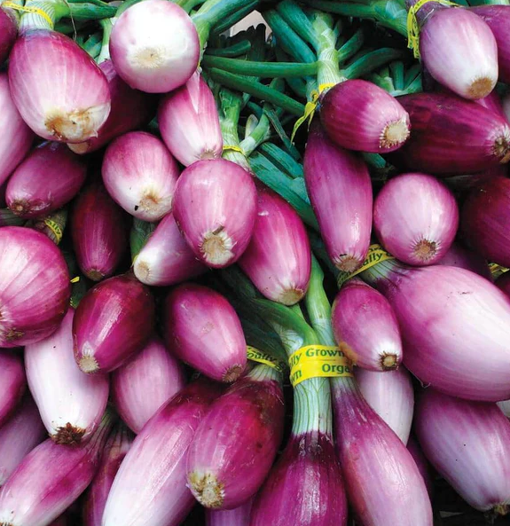 West Coast Vegetable Seeds