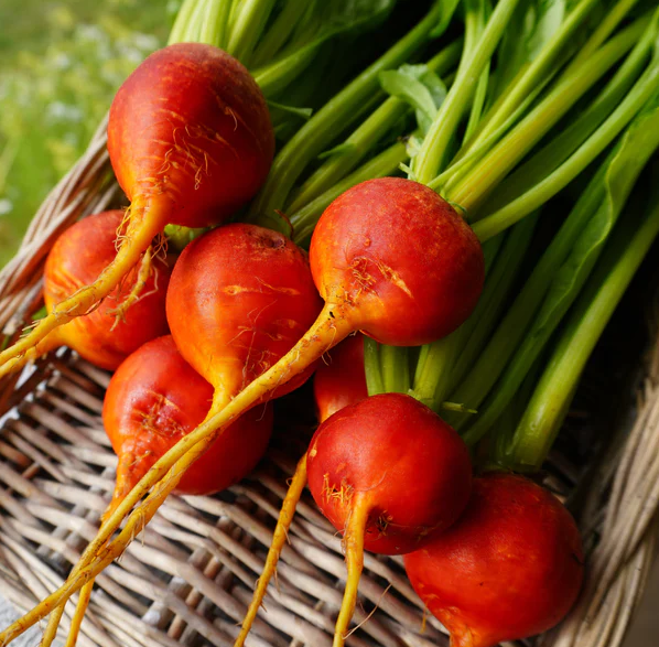 West Coast Vegetable Seeds