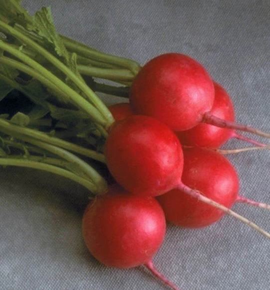 West Coast Vegetable Seeds