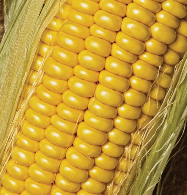 West Coast Vegetable Seeds