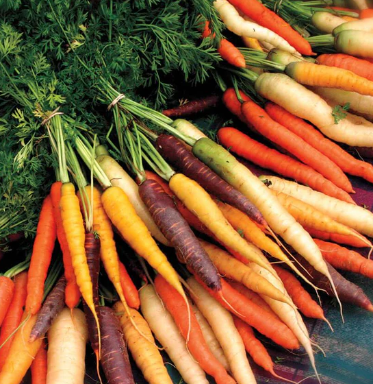 West Coast Vegetable Seeds