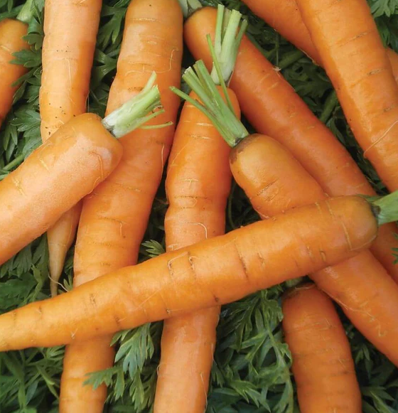 West Coast Vegetable Seeds