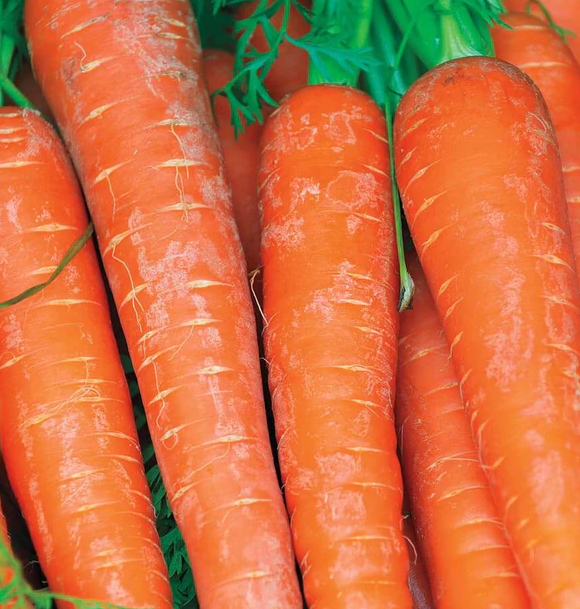 West Coast Vegetable Seeds