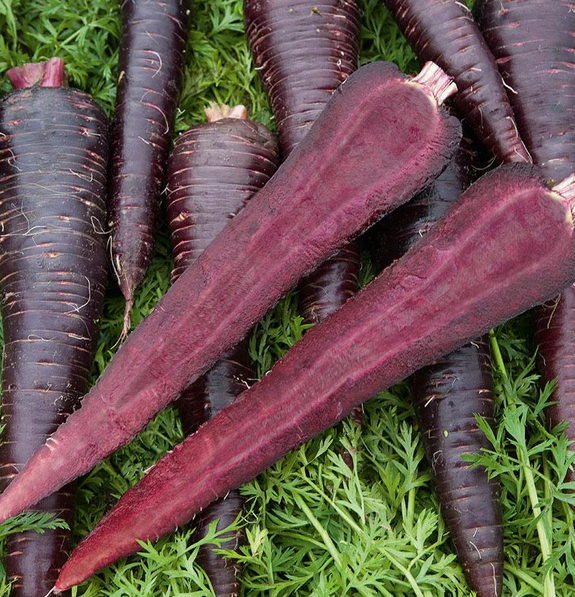 West Coast Vegetable Seeds