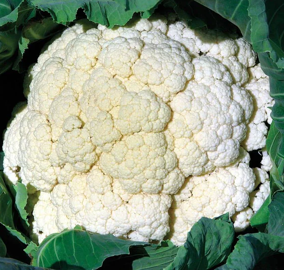 West Coast Vegetable Seeds