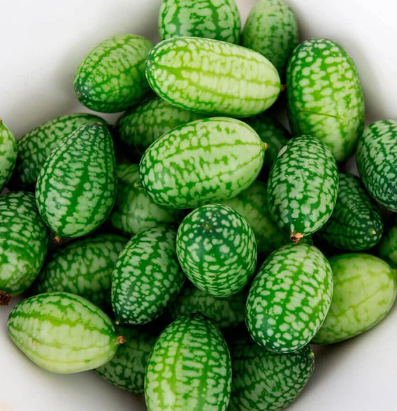 West Coast Vegetable Seeds
