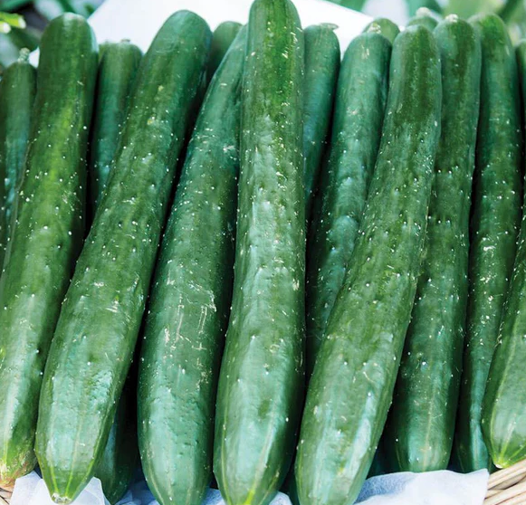 West Coast Vegetable Seeds