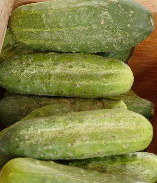 West Coast Vegetable Seeds