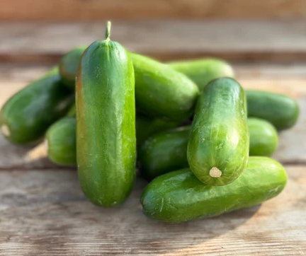 West Coast Vegetable Seeds