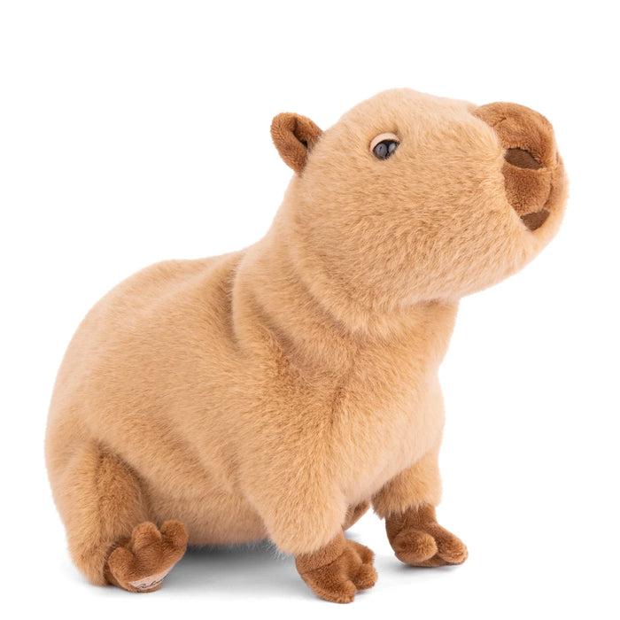 Bukowski Stuffed Animals
