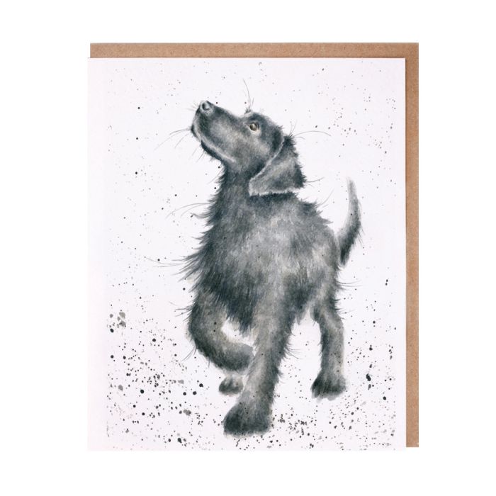 Greeting Cards