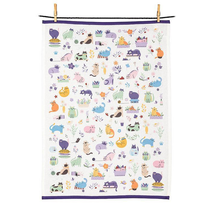 Kitchen Towels & Dish Cloths