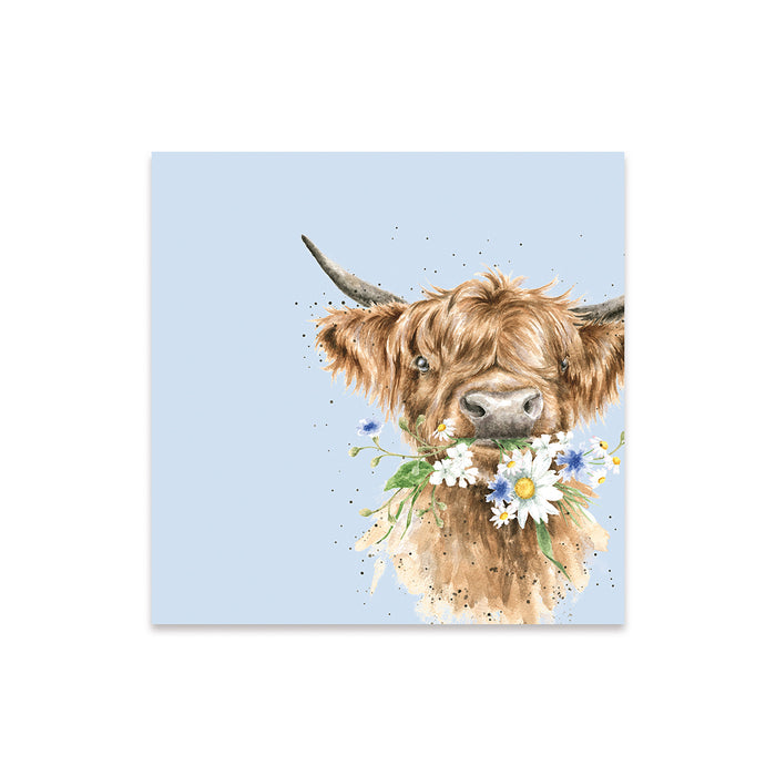 Napkins