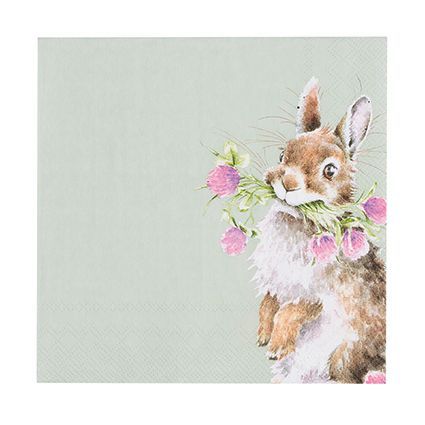 Napkins
