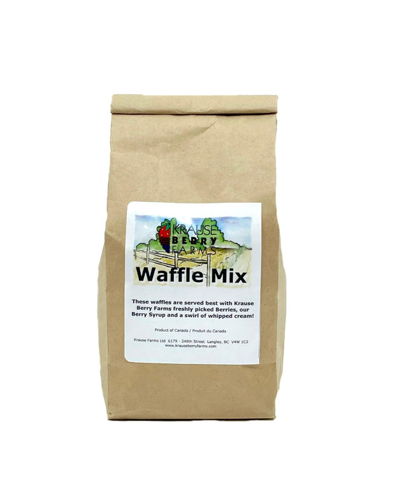 WAFFLE MIX 15OZ