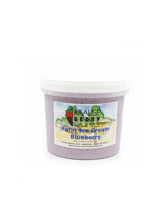 Blueberry ice cream made onsite here in Langley BC using our own beautiful blueberries. Langley ice cream. Locally made ice cream in the Fraser Valley.