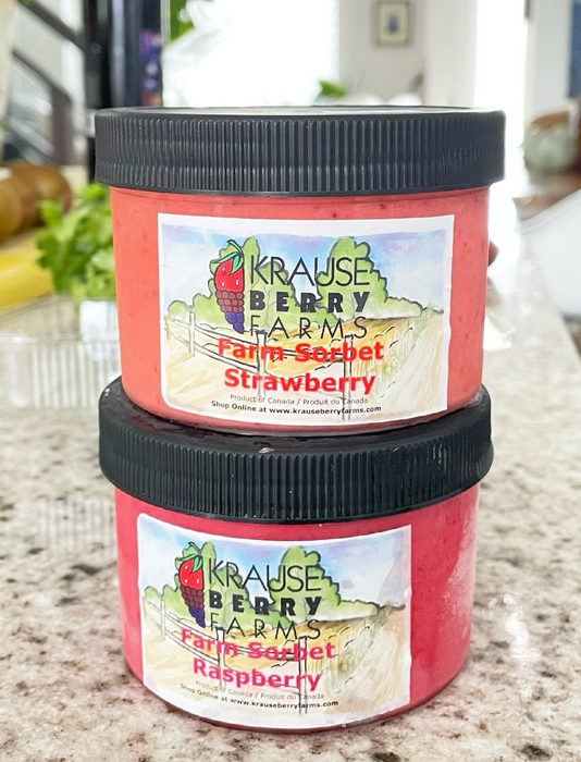 vegan berry sorbets made in Langley BC at Krause Berry Farms using their own hand picked berries.